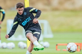 托特纳姆训练开放日，加时末段调整名单引欢呼，社区盾在即，年轻球员得到机会的简单介绍-九游体育APP